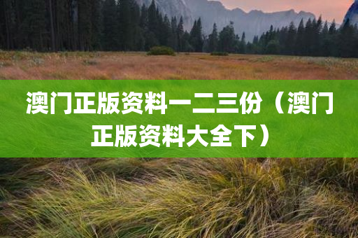 澳门正版资料一二三份（澳门正版资料大全下）