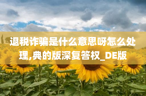 退税诈骗是什么意思呀怎么处理,典的版深复答权_DE版