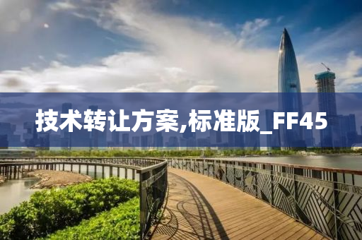 技术转让方案,标准版_FF45