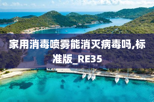 家用消毒喷雾能消灭病毒吗,标准版_RE35