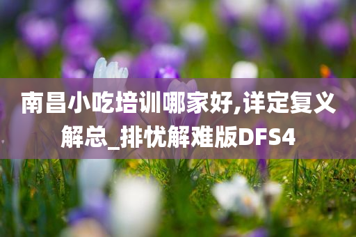 南昌小吃培训哪家好,详定复义解总_排忧解难版DFS4