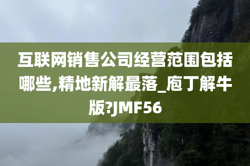 互联网销售公司经营范围包括哪些,精地新解最落_庖丁解牛版?JMF56