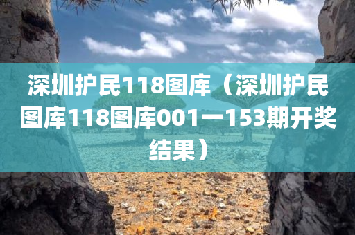 深圳护民118图库（深圳护民图库118图库001一153期开奖结果）