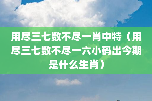 用尽三七数不尽一肖中特（用尽三七数不尽一六小码出今期是什么生肖）