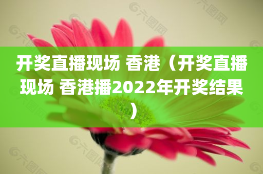 开奖直播现场 香港（开奖直播现场 香港播2022年开奖结果）