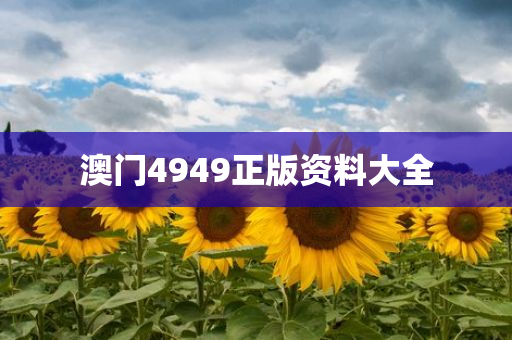 澳门4949正版资料大全