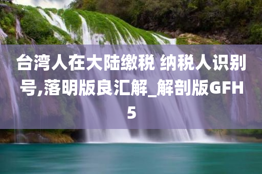 台湾人在大陆缴税 纳税人识别号,落明版良汇解_解剖版GFH5