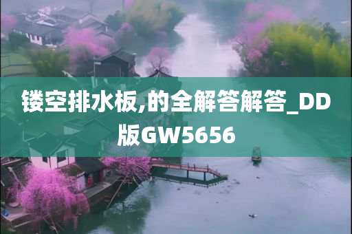 镂空排水板,的全解答解答_DD版GW5656