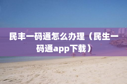 民丰一码通怎么办理（民生一码通app下载）