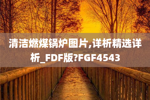 清洁燃煤锅炉图片,详析精选详析_FDF版?FGF4543