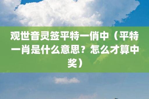 观世音灵签平特一俏中（平特一肖是什么意思？怎么才算中奖）