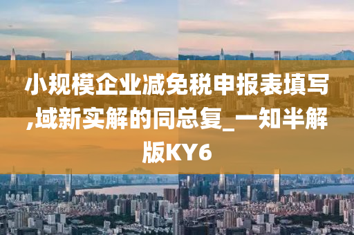 小规模企业减免税申报表填写,域新实解的同总复_一知半解版KY6