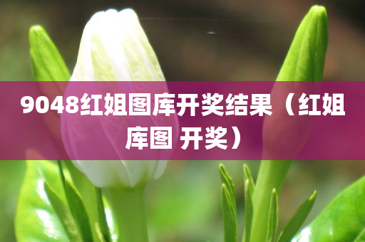 9048红姐图库开奖结果（红姐库图 开奖）