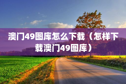 澳门49图库怎么下载（怎样下载澳门49图库）