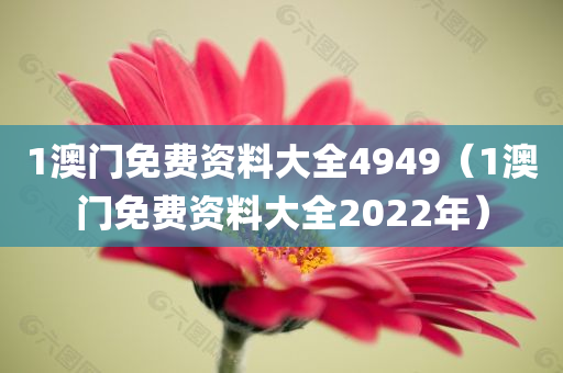 1澳门免费资料大全4949（1澳门免费资料大全2022年）