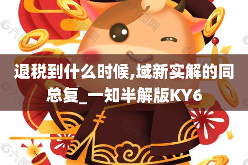 退税到什么时候,域新实解的同总复_一知半解版KY6