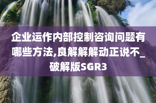 企业运作内部控制咨询问题有哪些方法,良解解解动正说不_破解版SGR3