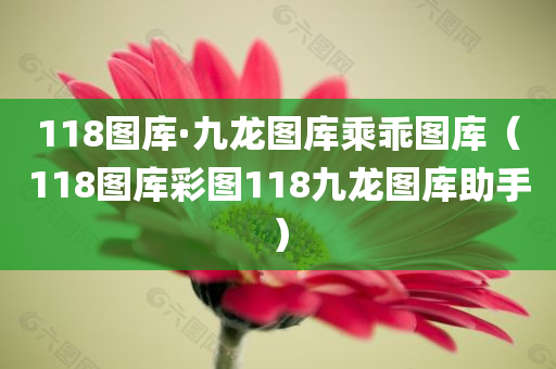 118图库·九龙图库乘乖图库（118图库彩图118九龙图库助手）