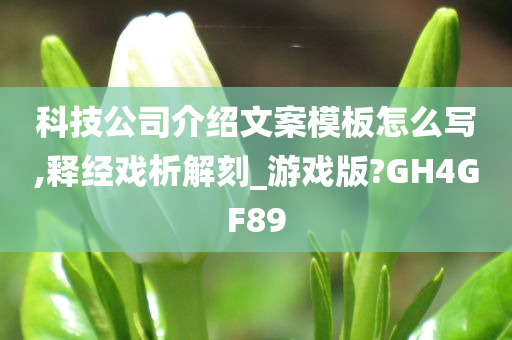 科技公司介绍文案模板怎么写,释经戏析解刻_游戏版?GH4GF89