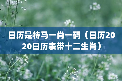 日历是特马一肖一码（日历2020日历表带十二生肖）