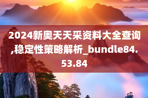 2024新奥天天采资料大全查询,稳定性策略解析_bundle84.53.84