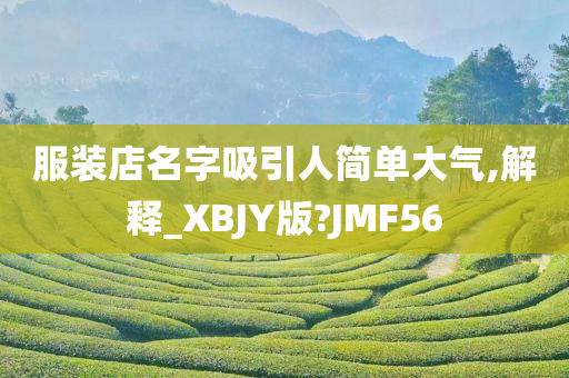 服装店名字吸引人简单大气,解释_XBJY版?JMF56