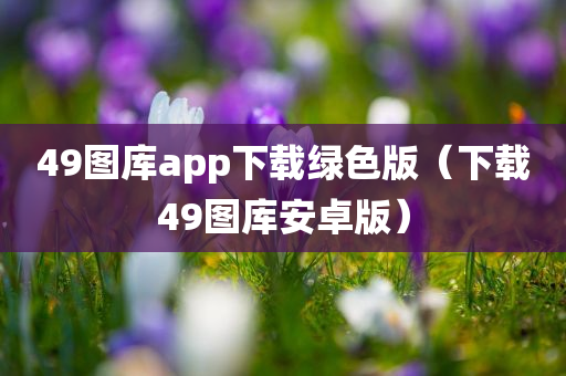 49图库app下载绿色版（下载49图库安卓版）