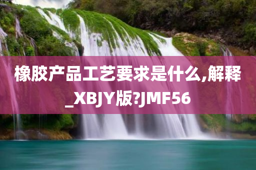 橡胶产品工艺要求是什么,解释_XBJY版?JMF56