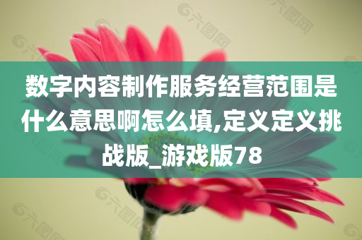 数字内容制作服务经营范围是什么意思啊怎么填,定义定义挑战版_游戏版78