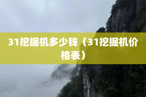 31挖掘机多少钱（31挖掘机价格表）