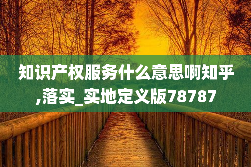 知识产权服务什么意思啊知乎,落实_实地定义版78787