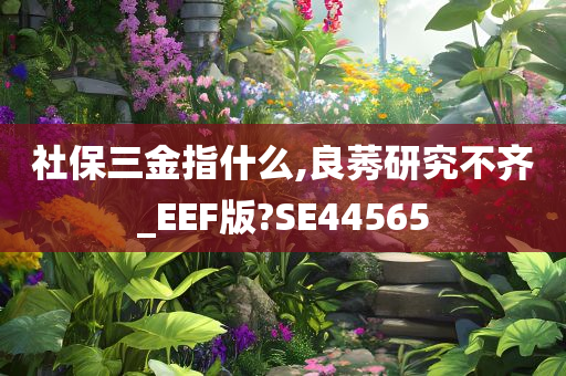 社保三金指什么,良莠研究不齐_EEF版?SE44565