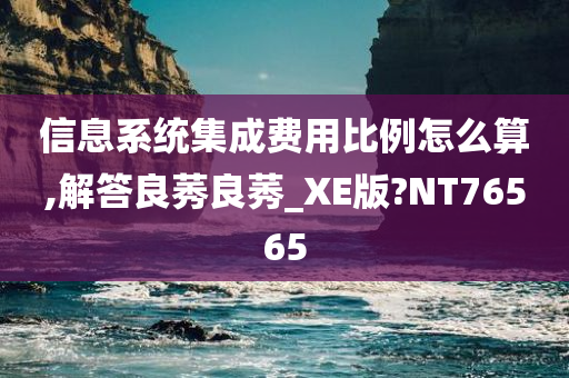 信息系统集成费用比例怎么算,解答良莠良莠_XE版?NT76565