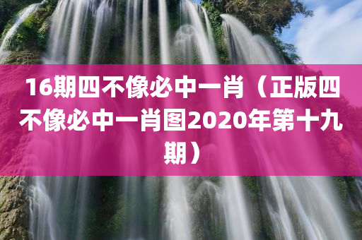 16期四不像必中一肖（正版四不像必中一肖图2020年第十九期）