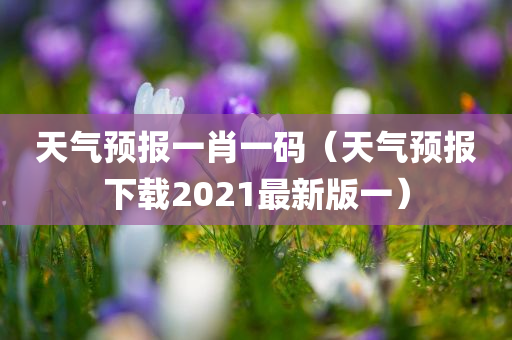 天气预报一肖一码（天气预报下载2021最新版一）