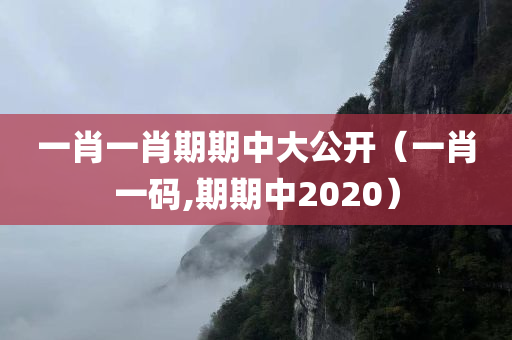 一肖一肖期期中大公开（一肖一码,期期中2020）