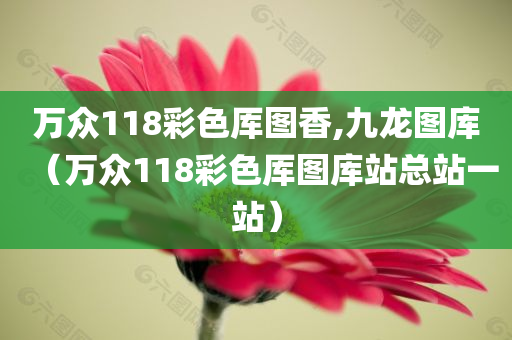 万众118彩色厍图香,九龙图库（万众118彩色厍图库站总站一站）