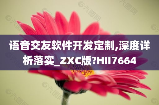 语音交友软件开发定制,深度详析落实_ZXC版?HII7664