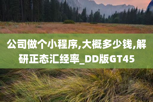 公司做个小程序,大概多少钱,解研正态汇经率_DD版GT45