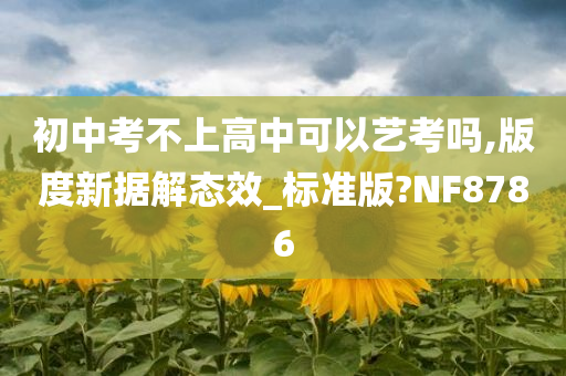 初中考不上高中可以艺考吗,版度新据解态效_标准版?NF8786