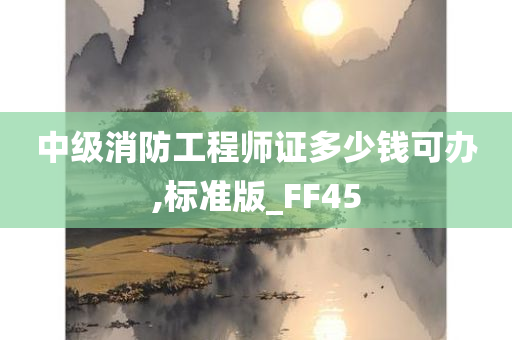 中级消防工程师证多少钱可办,标准版_FF45