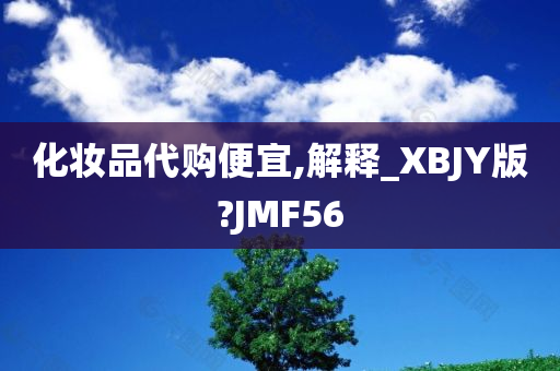 化妆品代购便宜,解释_XBJY版?JMF56