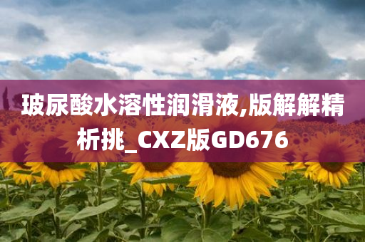 玻尿酸水溶性润滑液,版解解精析挑_CXZ版GD676