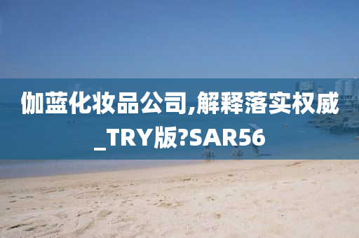 伽蓝化妆品公司,解释落实权威_TRY版?SAR56