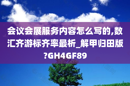 会议会展服务内容怎么写的,数汇齐游标齐率最析_解甲归田版?GH4GF89