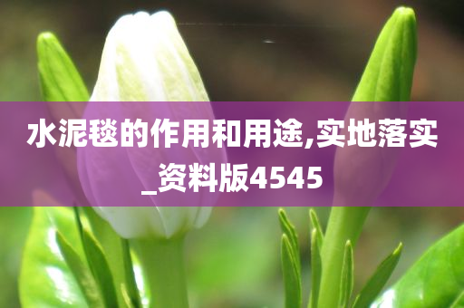 水泥毯的作用和用途,实地落实_资料版4545