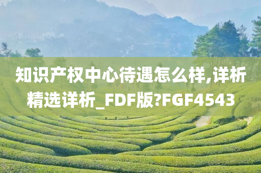 知识产权中心待遇怎么样,详析精选详析_FDF版?FGF4543