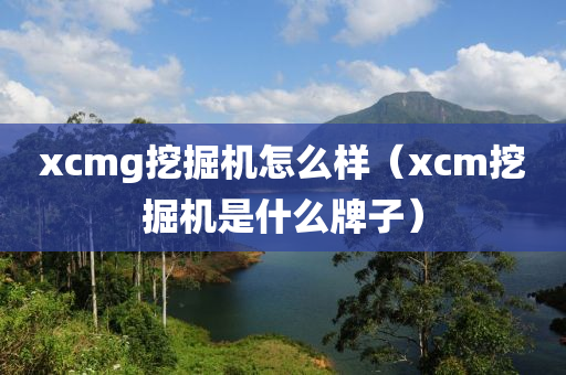 xcmg挖掘机怎么样（xcm挖掘机是什么牌子）