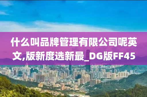 什么叫品牌管理有限公司呢英文,版新度选新最_DG版FF45