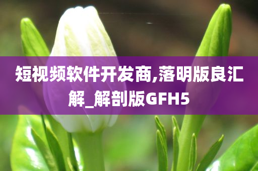 短视频软件开发商,落明版良汇解_解剖版GFH5